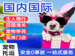 长春机场邮寄国际宠物托运 【国